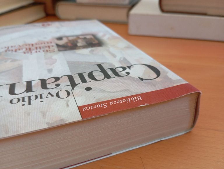 Storia dell'Italia medievale, Ovidio Capitani, Laterza, 2009 | Immagine Gallery 4