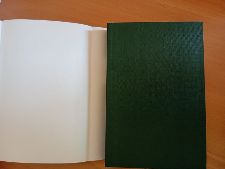 Storia dell'Italia medievale, Ovidio Capitani, Laterza, 2009 | Immagine Gallery 5