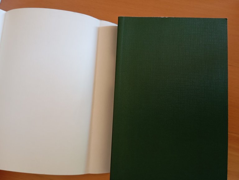 Storia dell'Italia medievale, Ovidio Capitani, Laterza, 2009 | Immagine Gallery 5