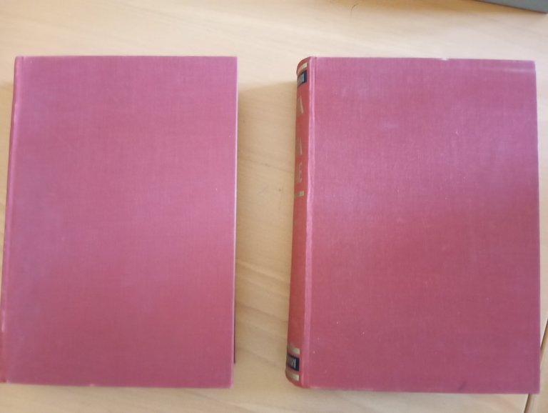 Storia della Guerra Mondiale, Amedeo Tosti, due volumi, Mondadori, 1937 | Immagine Gallery 5