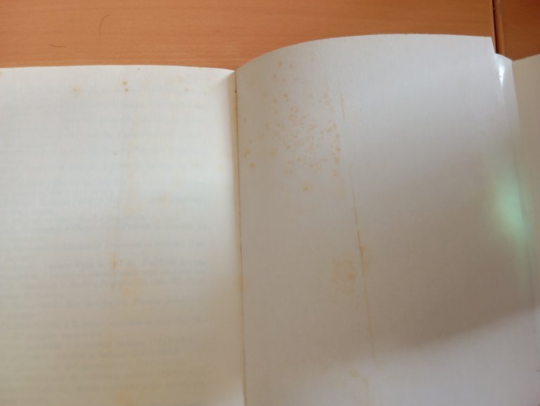 Storia delle immagini, Manlio Brusatin, Einaudi, 1989 | Immagine Gallery 10