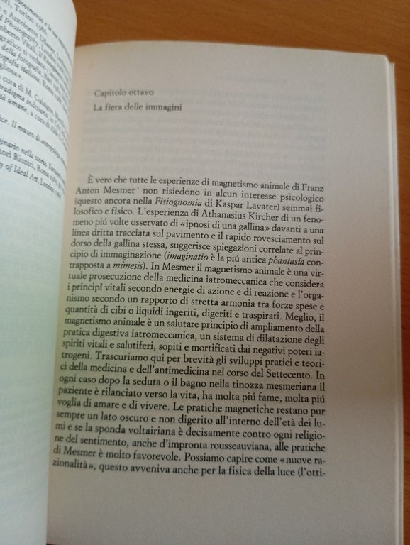 Storia delle immagini, Manlio Brusatin, Einaudi, 1989 | Immagine Gallery 12