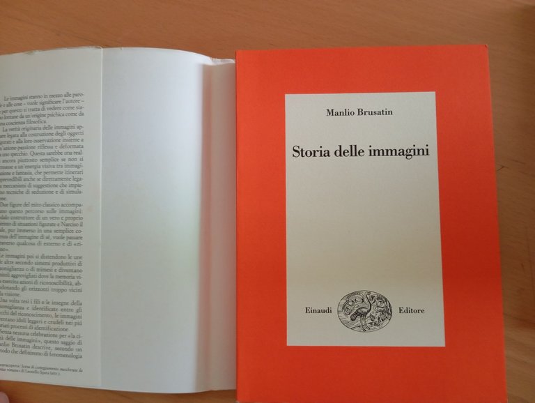 Storia delle immagini, Manlio Brusatin, Einaudi, 1989 | Immagine Gallery 6