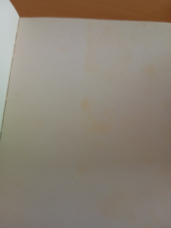 Storia delle immagini, Manlio Brusatin, Einaudi, 1989 | Immagine Gallery 7