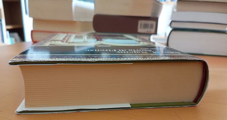 Storia di Firenze, 1200-1575, John M. Najemy, Einaudi, 2014 | Immagine Gallery 3