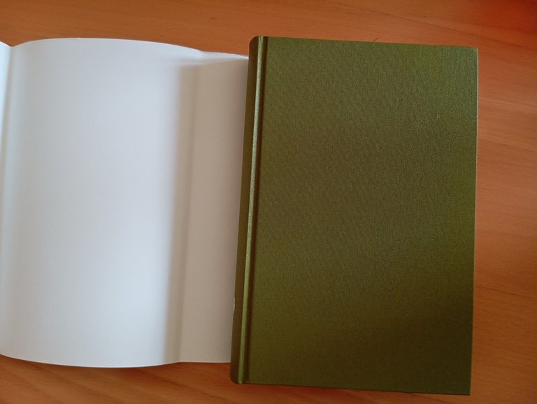 Storia di Firenze, 1200-1575, John M. Najemy, Einaudi, 2014 | Immagine Gallery 5