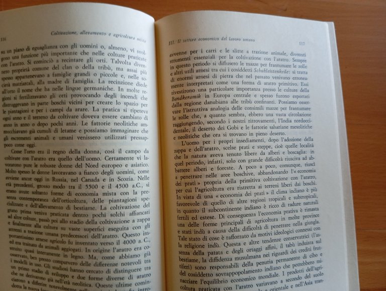 Storia economica del Mondo Antico, Fritz M. HeicheLheim, aterza, 1972 | Immagine Gallery 11