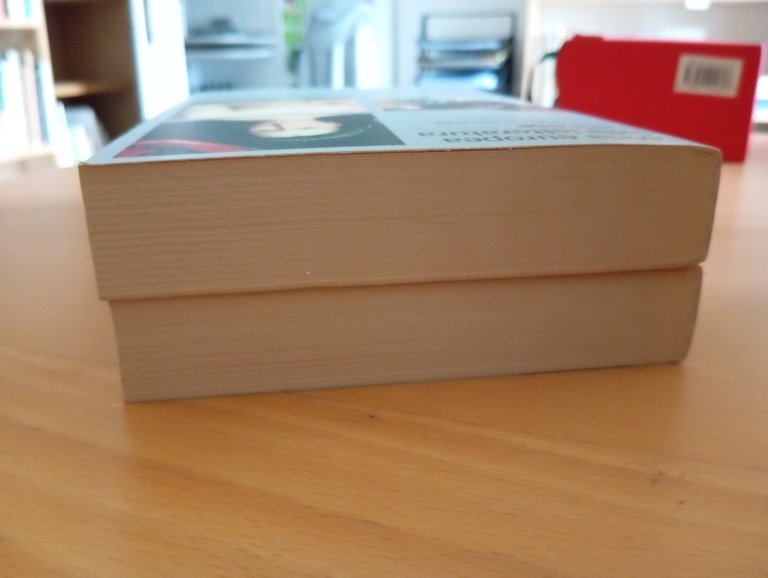 Storia europea della letteratura francese, due volumi, Einaudi, 2013 | Immagine Gallery 2