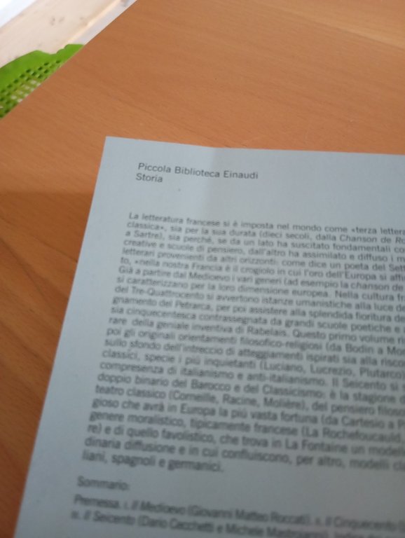 Storia europea della letteratura francese, due volumi, Einaudi, 2013 | Immagine Gallery 4