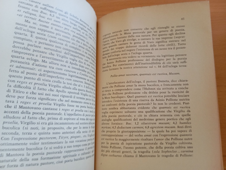 Studi sulla poesia bucolica, Bruno Luiselli, Fossataro, 1967 | Immagine Gallery 9