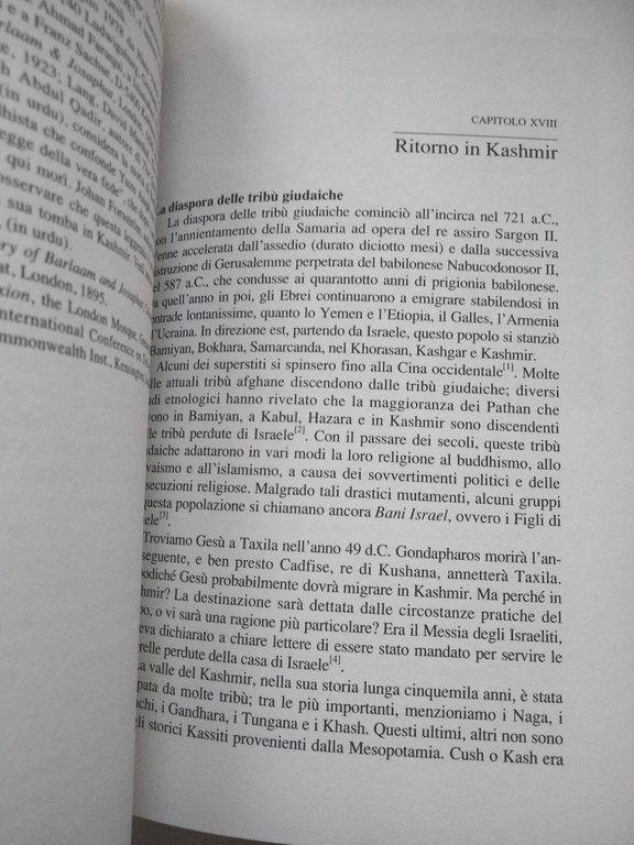 Sulle tracce di Gesù l'Esseno, Fida Hassnain, Amrita, 1997
