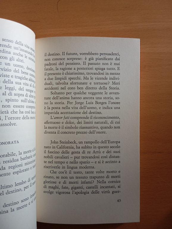 Svelare la morte, Fausto Gianfranceschi, Rusconi, 1980