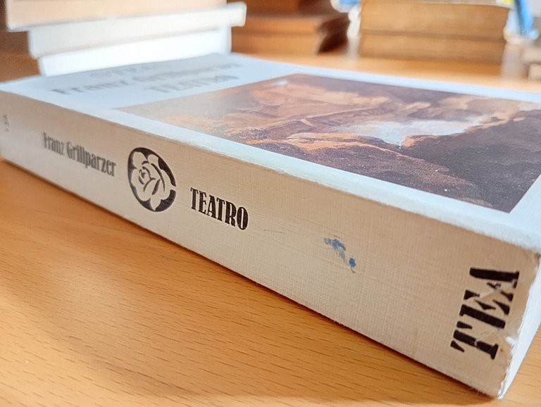 Teatro, Franz Grillparzer, TEA, 1993 | Immagine Gallery 6