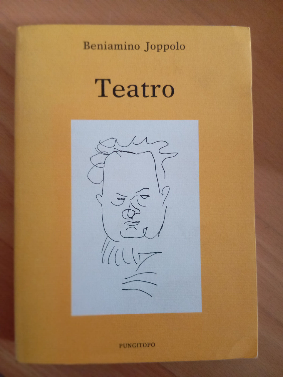 Teatro volume 1, Beniamino joppolo, pungitopo, 1989