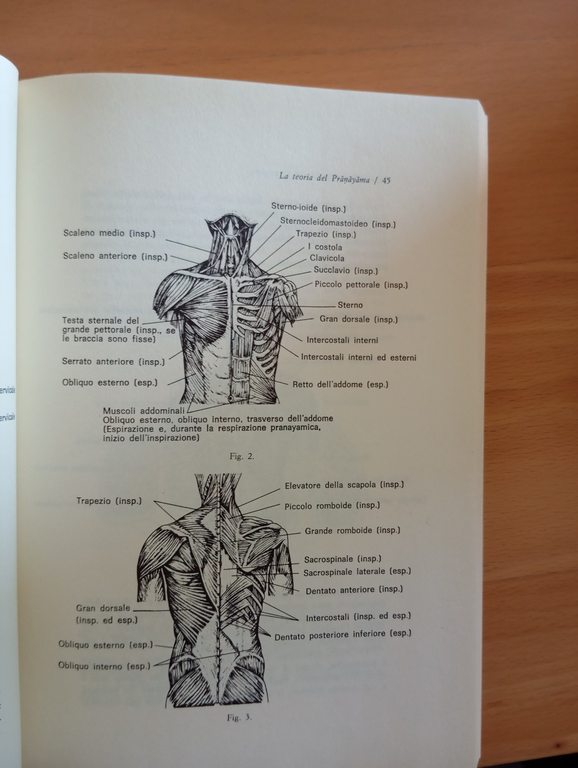 Teoria e pratica del Pramayama, b. k. s. Iyengar, Edizioni …