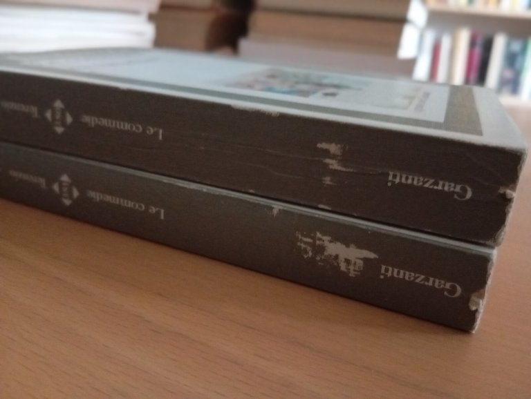 Terenzio, Le commedie, due volumi, Garzanti, 1989 | Immagine Gallery 7