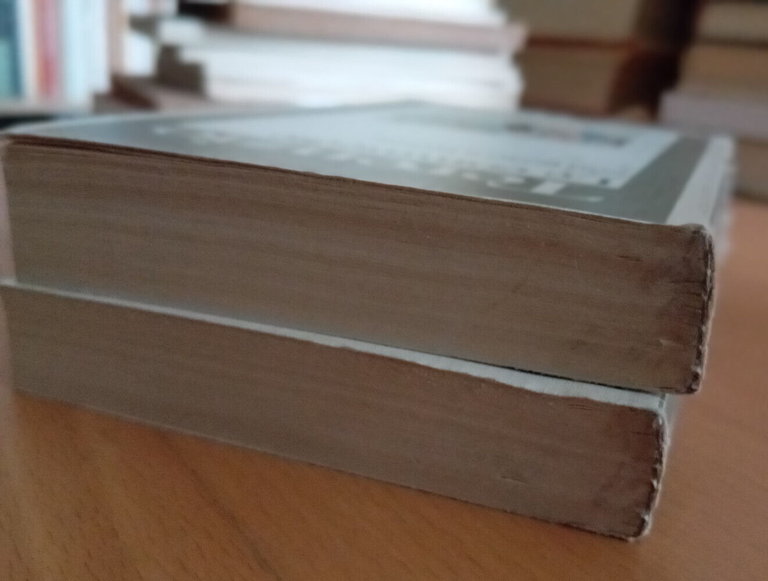 Terenzio, Le commedie, due volumi, Garzanti, 1989 | Immagine Gallery 10