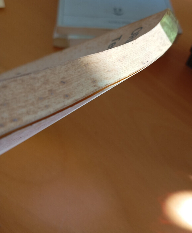 Terenzio Problemi e aspetti dell'originalità, Orazio Bianco Edizioni ateneo 1962 | Immagine Gallery 21