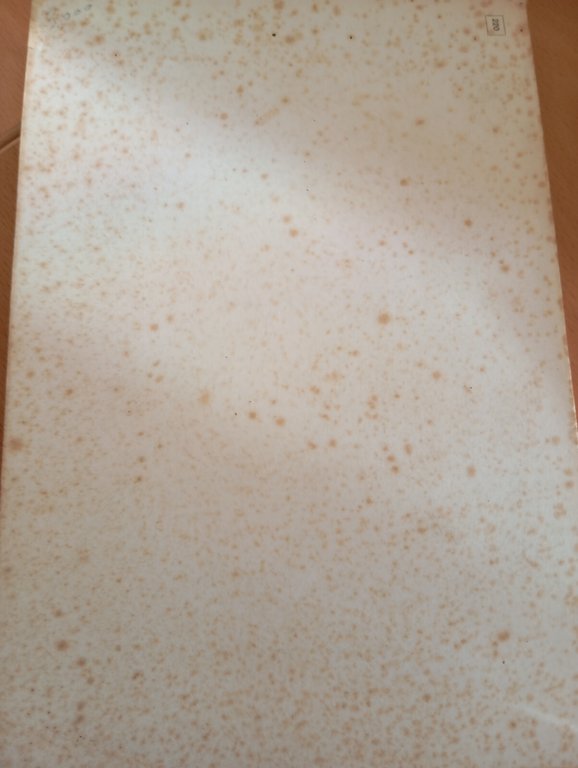 Terenzio Problemi e aspetti dell'originalità, Orazio Bianco Edizioni ateneo 1962 | Immagine Gallery 8