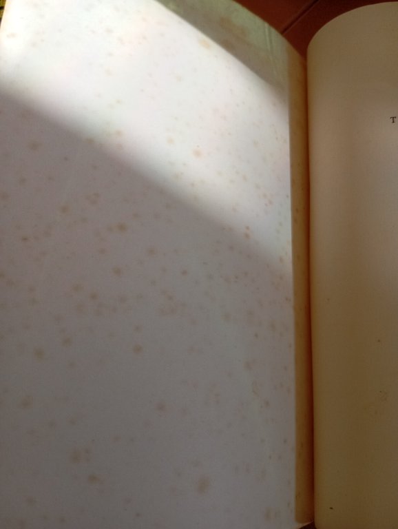 Terenzio Problemi e aspetti dell'originalità, Orazio Bianco Edizioni ateneo 1962 | Immagine Gallery 9