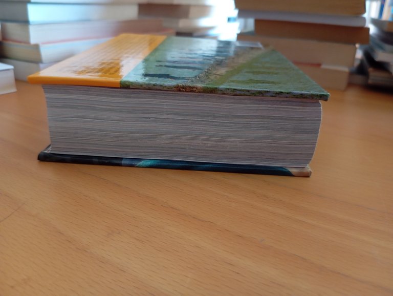 Terre dell'Uomo. India e paesi hymalayani, Cristiana Natali, 2011