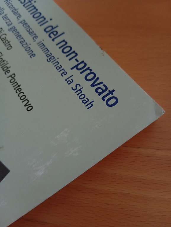 Testimoni del non provato, la Shoah nella terza generazione, Carocci, …