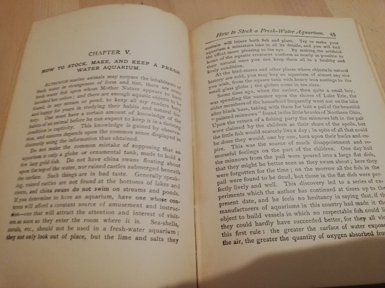 The american boy's handy book, D. C. Beard, 1931, English