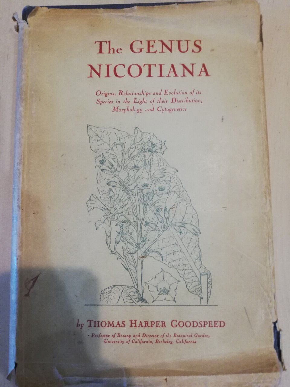 The genus Nicotina, T. H. goodspeed, 1954, in inglese