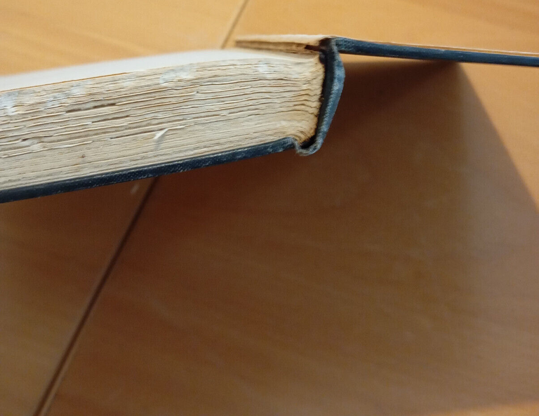 The story of american negro, Ina Corinne Brown, 1936