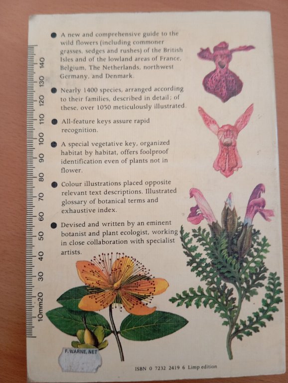 The Wild Flower Key: A Guide to Identification in the …