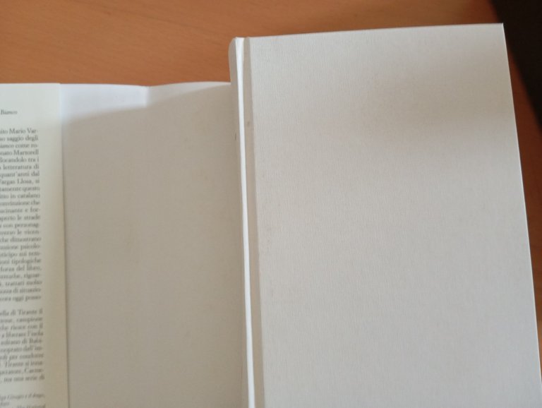 Tirante il bianco, Joanot Martorell, Millenni Einaudi, 2013 | Immagine Gallery 10