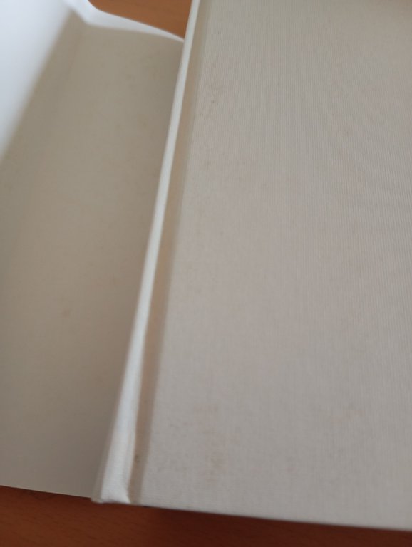 Tirante il bianco, Joanot Martorell, Millenni Einaudi, 2013 | Immagine Gallery 11