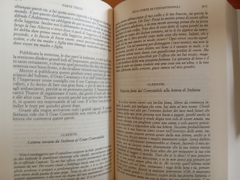 Tirante il bianco, Joanot Martorell, Millenni Einaudi, 2013 | Immagine Gallery 16