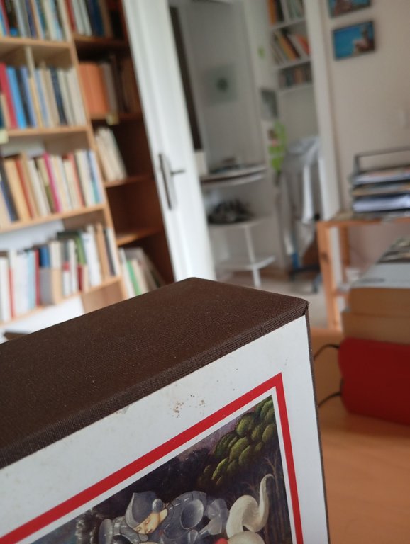 Tirante il bianco, Joanot Martorell, Millenni Einaudi, 2013 | Immagine Gallery 3