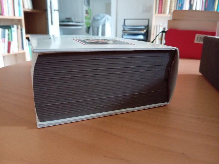 Tirante il bianco, Joanot Martorell, Millenni Einaudi, 2013 | Immagine Gallery 9