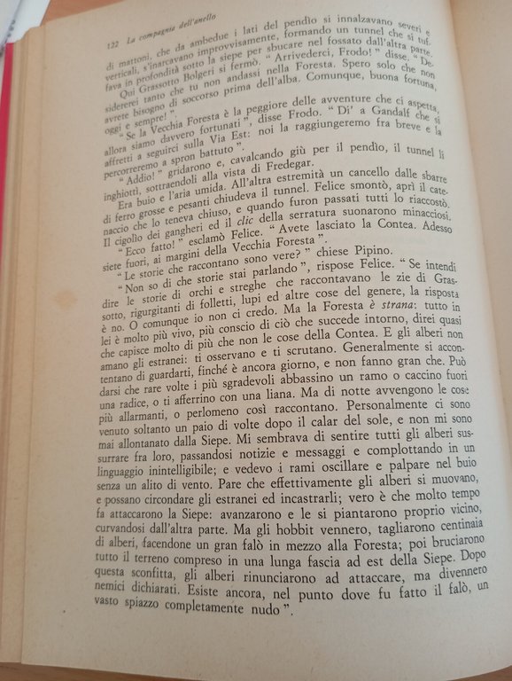 Tolkien signore anelli compagnia dell'anello Astrolabio 1967 mappa perfetta!