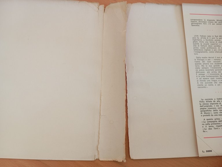 Tolkien signore anelli compagnia dell'anello Astrolabio 1967 mappa perfetta!