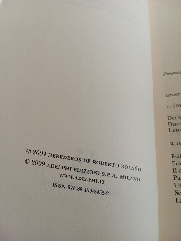 Tra parentesi, Roberto Bolano, Adelphi, 2009 | Immagine Gallery 7