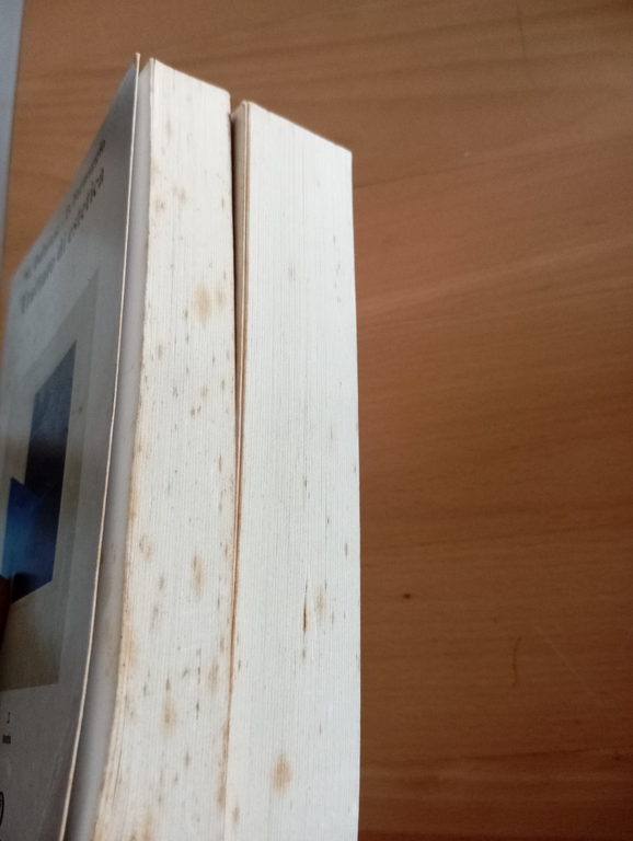 Trattato di estetica, 2 volumi, M. Dufrenne - D. Formaggio, … | Immagine Gallery 9