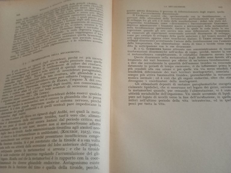 Trattato di zoologia, Augusto Stefanelli, Macrì Editore, 1948, per collezionisti