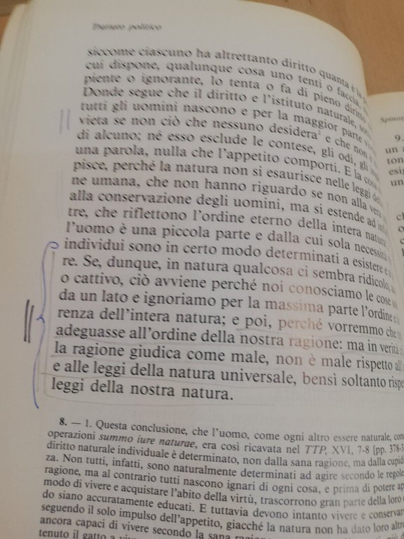 Trattato politico, Spinoza, Ludovico Chianese (a cura), Edizione del gallo, …