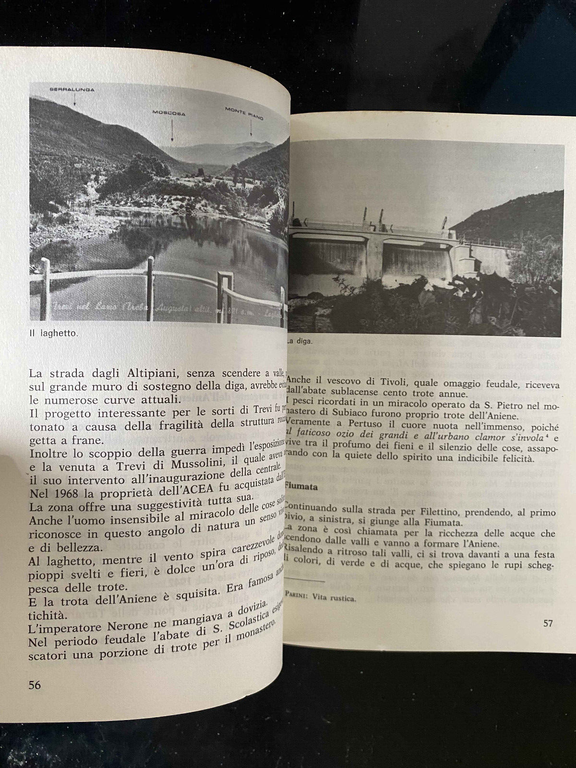 Trevi nel Lazio. Nella storia nell'arte nelle tradizioni, Dante Zinanni, … | Immagine Gallery 13