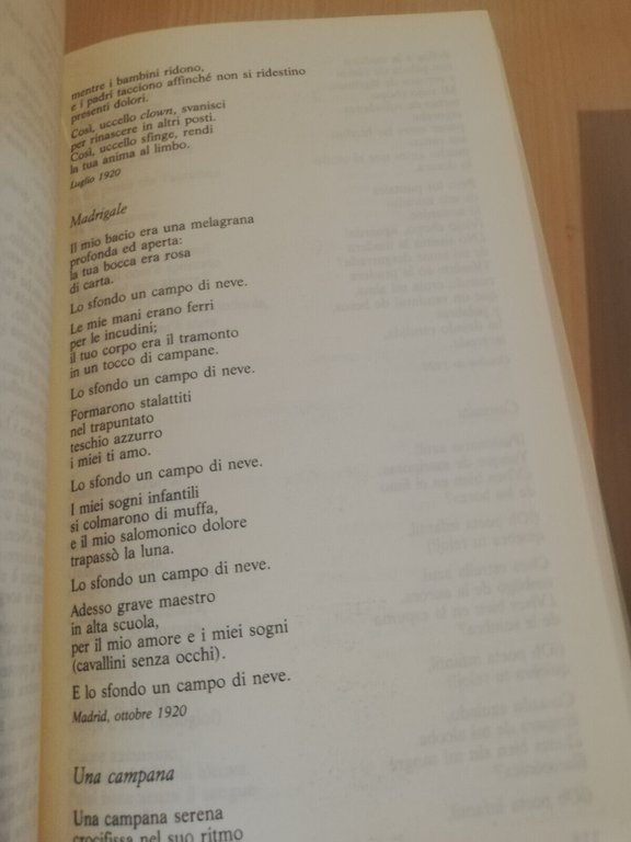 Tutte le poesie, Garcia Lorca, 2 volumi, Newton Compton, 1993