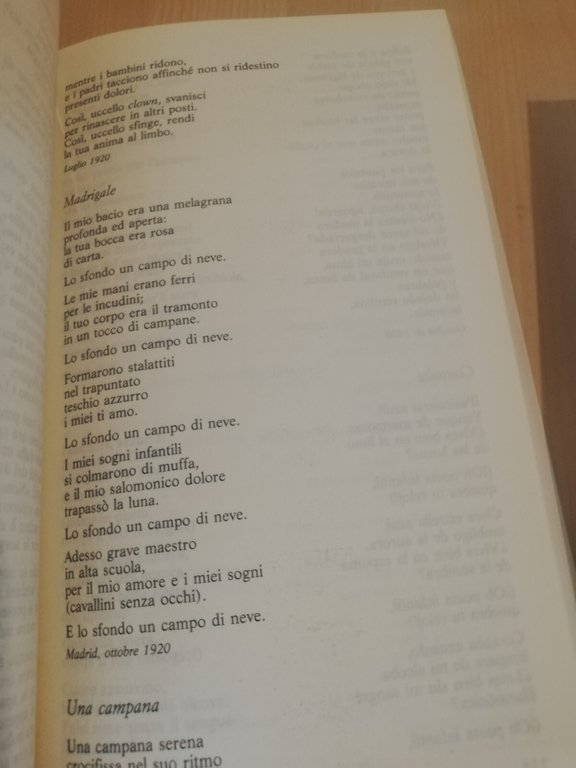Tutte le poesie, Garcia Lorca, 2 volumi, Newton Compton, 1993