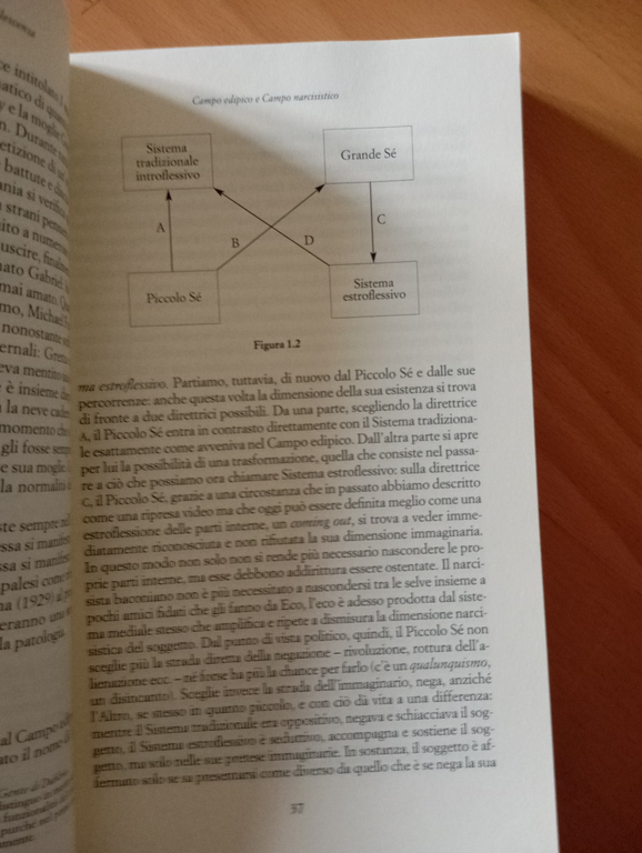 Uccidersi, G. Pietropolli Charmet - A. Piotti, Raffaello Cortina, 2014 | Immagine Gallery 8