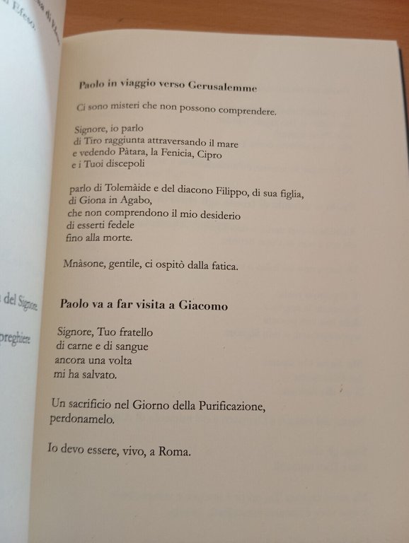 Un Dio furioso ha sofferto con me Vita di Paolo …