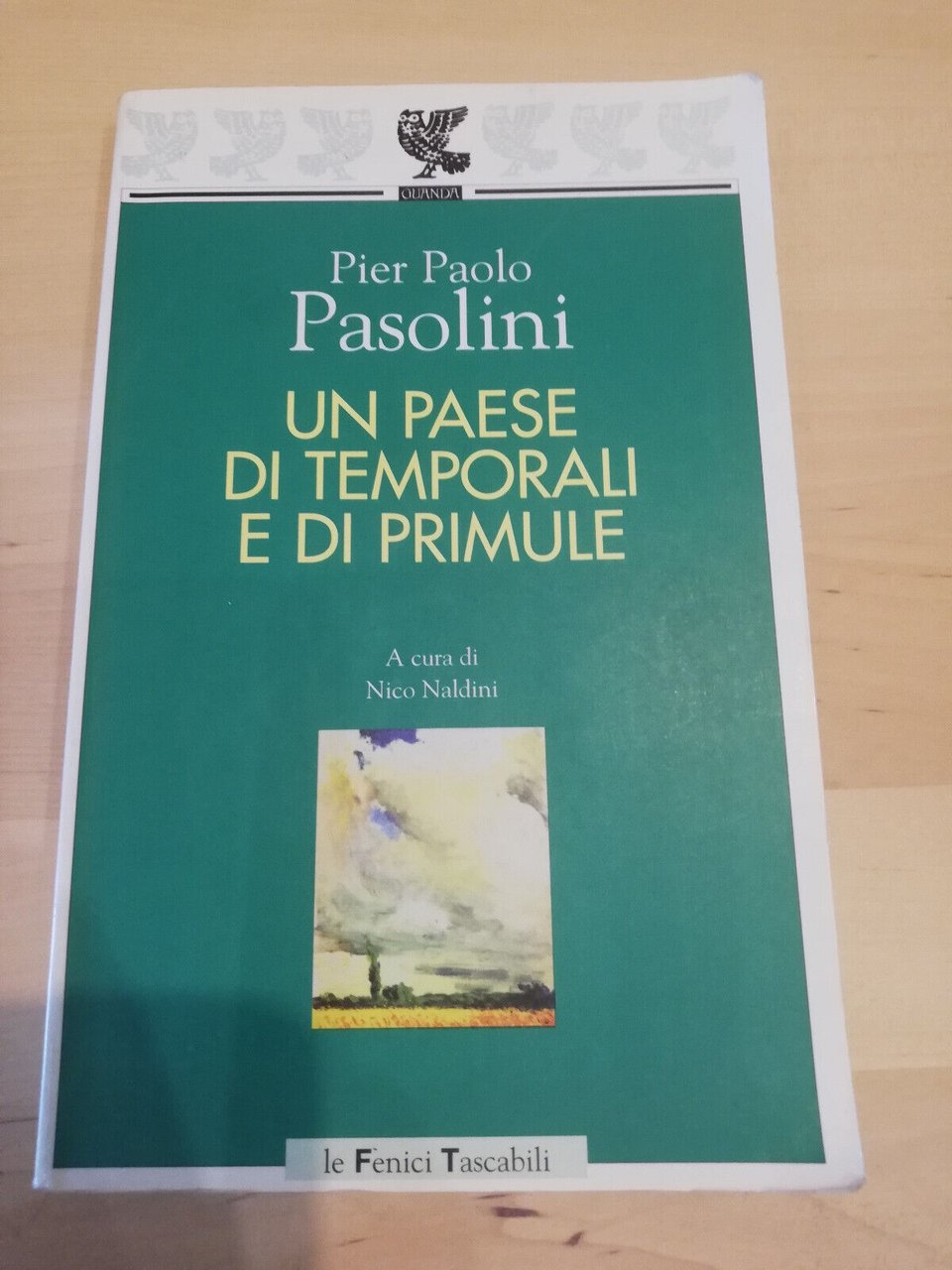 Un paese di temporali e di primule, Pier Paolo Pasolini, …