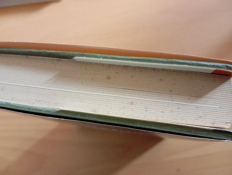 Una storia del Mondo in 10 capitoli w 1/2, Julian … | Immagine Gallery 5