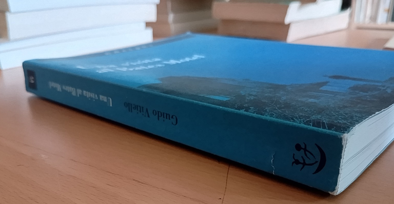 Una visita al Bates Motel, Guido Vitiello, Adelphi, 2022