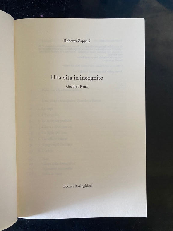 Una vita in incognito, Roberto Zapperi, Bollati Boringhieri 2000, fuori …